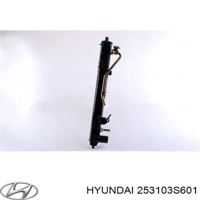 Compre 253103S601 Hyundai/Kia Radiador de esfriamento de motor