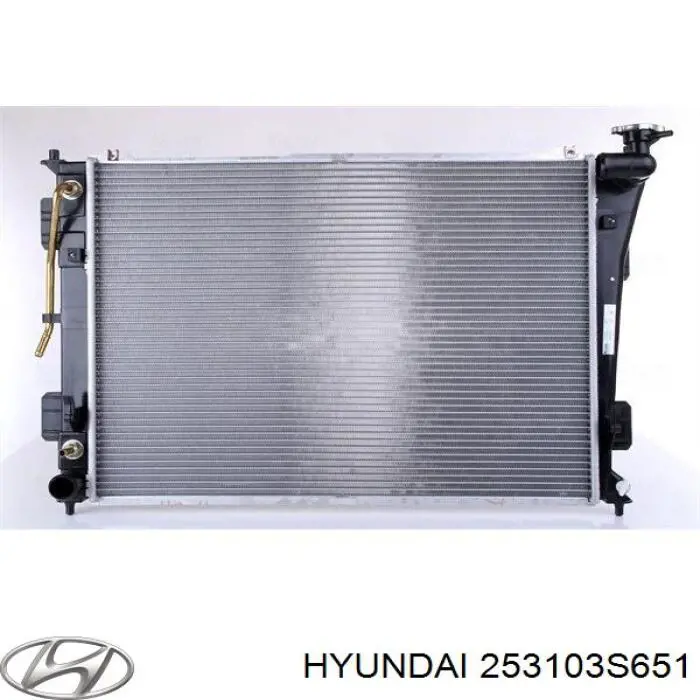 Compre 253103S651 Hyundai/Kia Radiador de esfriamento de motor