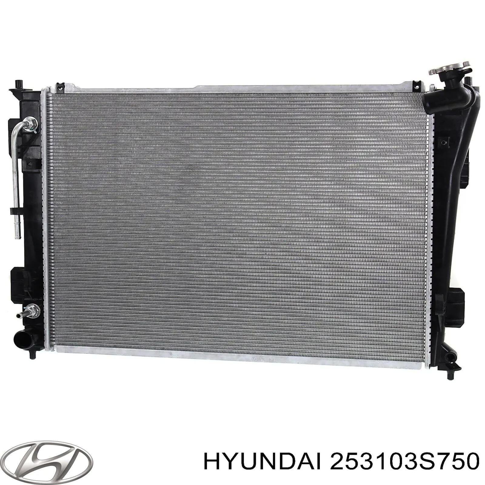 Radiador de esfriamento de motor 4028081 Polcar