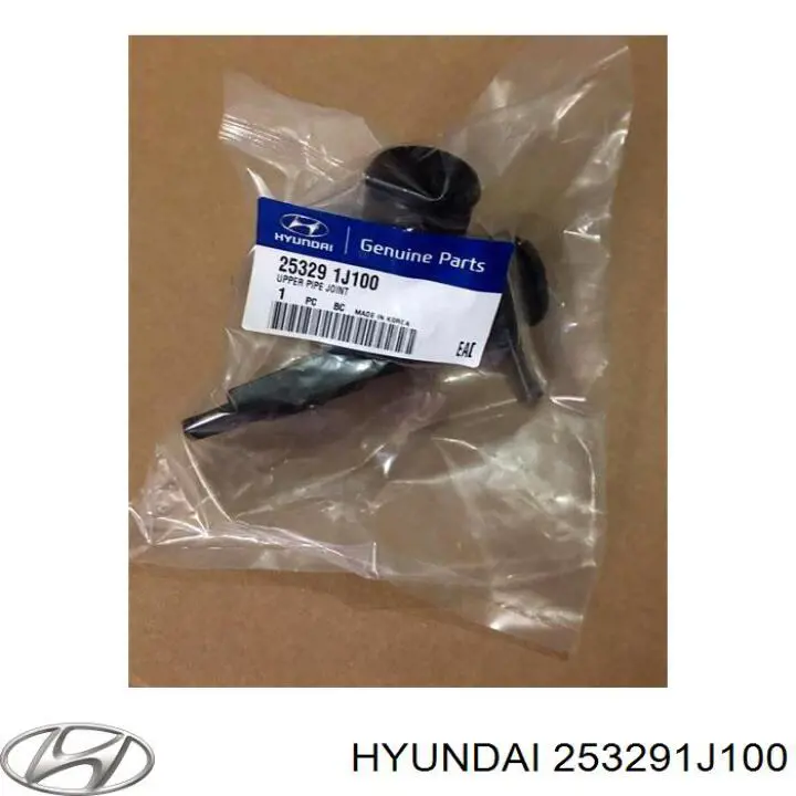 253291J100 Hyundai/Kia Gargalo de enchimento do sistema de esfriamento