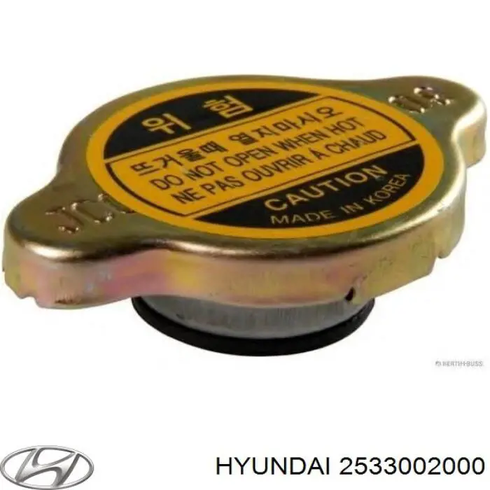 2533002000 Hyundai/Kia Tampa (tampão) do radiador