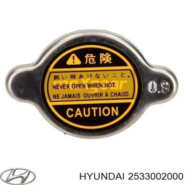 Tampa (tampão) do radiador Hyundai/Kia 2533002000 preço, a partir de 7,76 USD