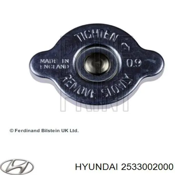 Compre 2533002000 Hyundai/Kia Tampa (tampão) do radiador