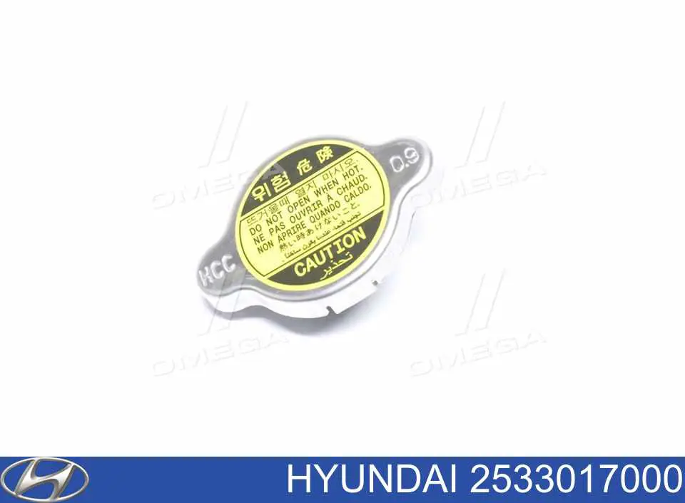 2533017000 Hyundai/Kia Tampa (tampão) do radiador