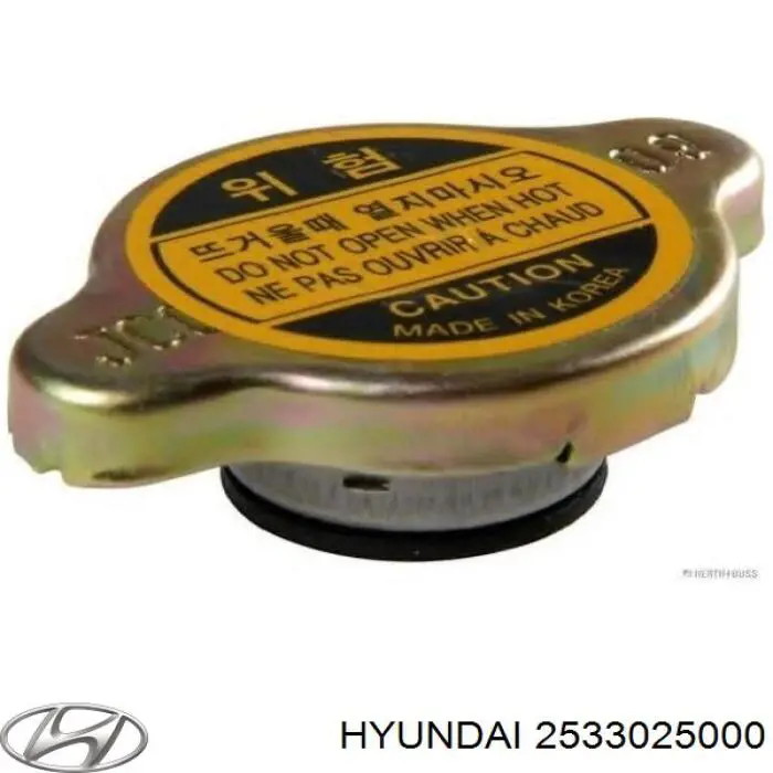2533025000 Hyundai/Kia Tampa (tampão) do radiador
