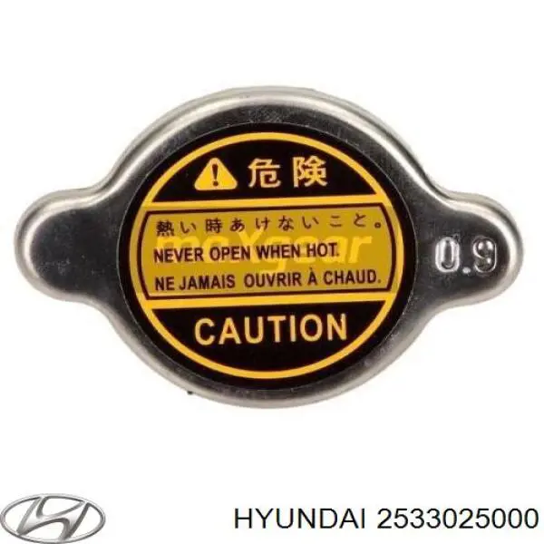 Compre 2533025000 Hyundai/Kia Tampa (tampão) do radiador