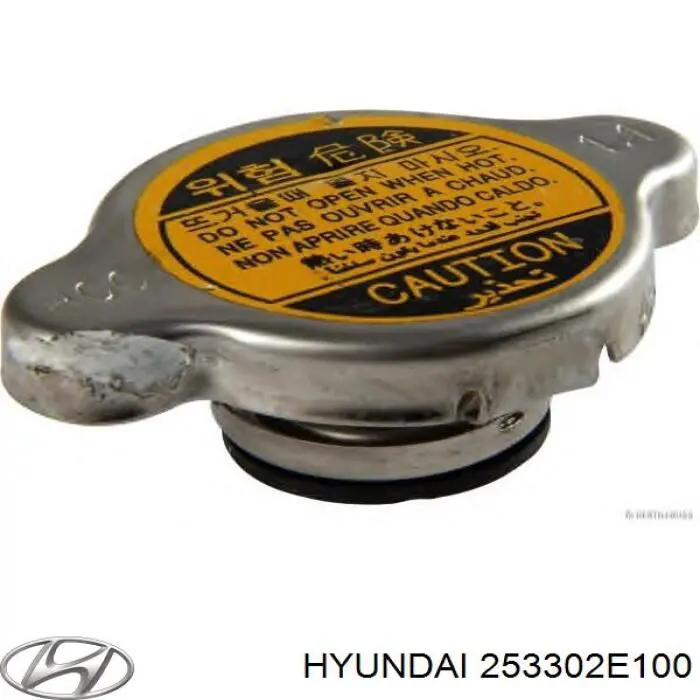 253302E100 Hyundai/Kia Tampa (tampão) do radiador
