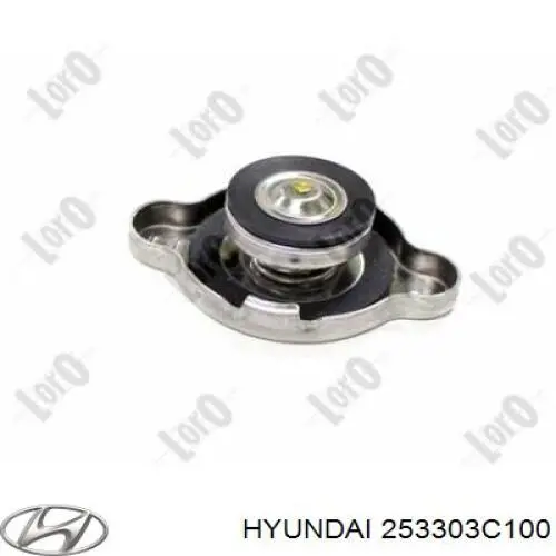 Compre 253303C100 Hyundai/Kia Tampa (tampão) do radiador