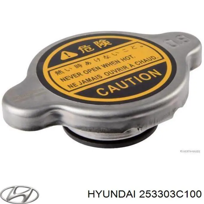Tampa (tampão) do radiador Hyundai/Kia 253303C100 preço, a partir de 5,96 USD