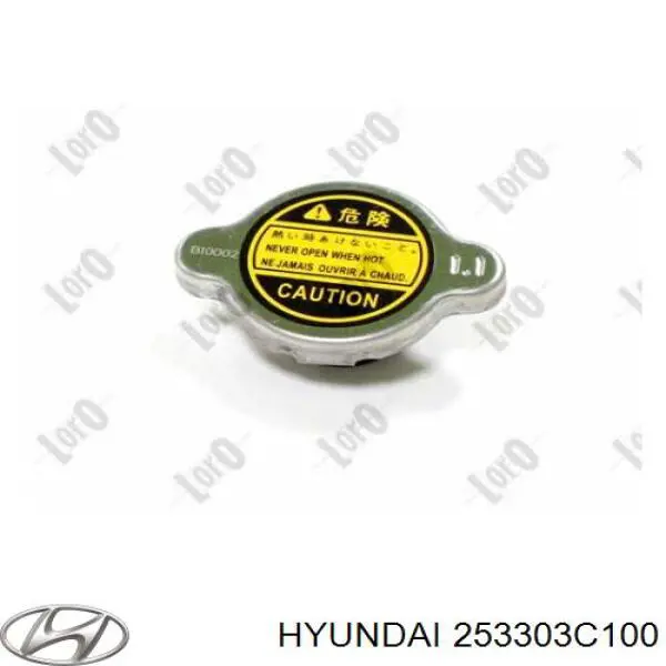 253303C100 Hyundai/Kia Tampa (tampão) do radiador