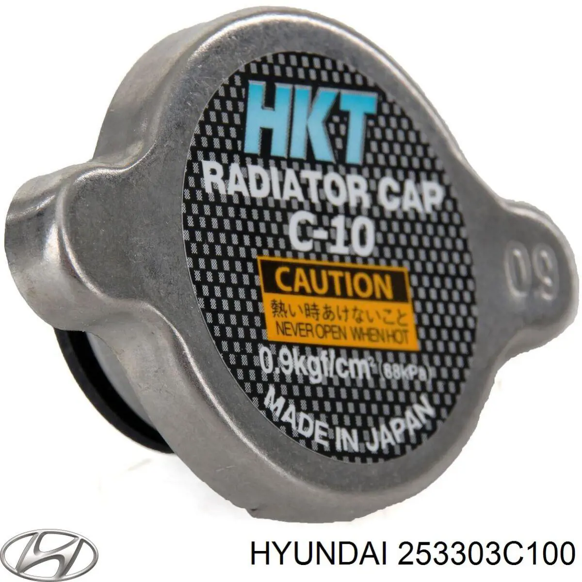 253303C100 Hyundai/Kia Tampa (tampão) do radiador