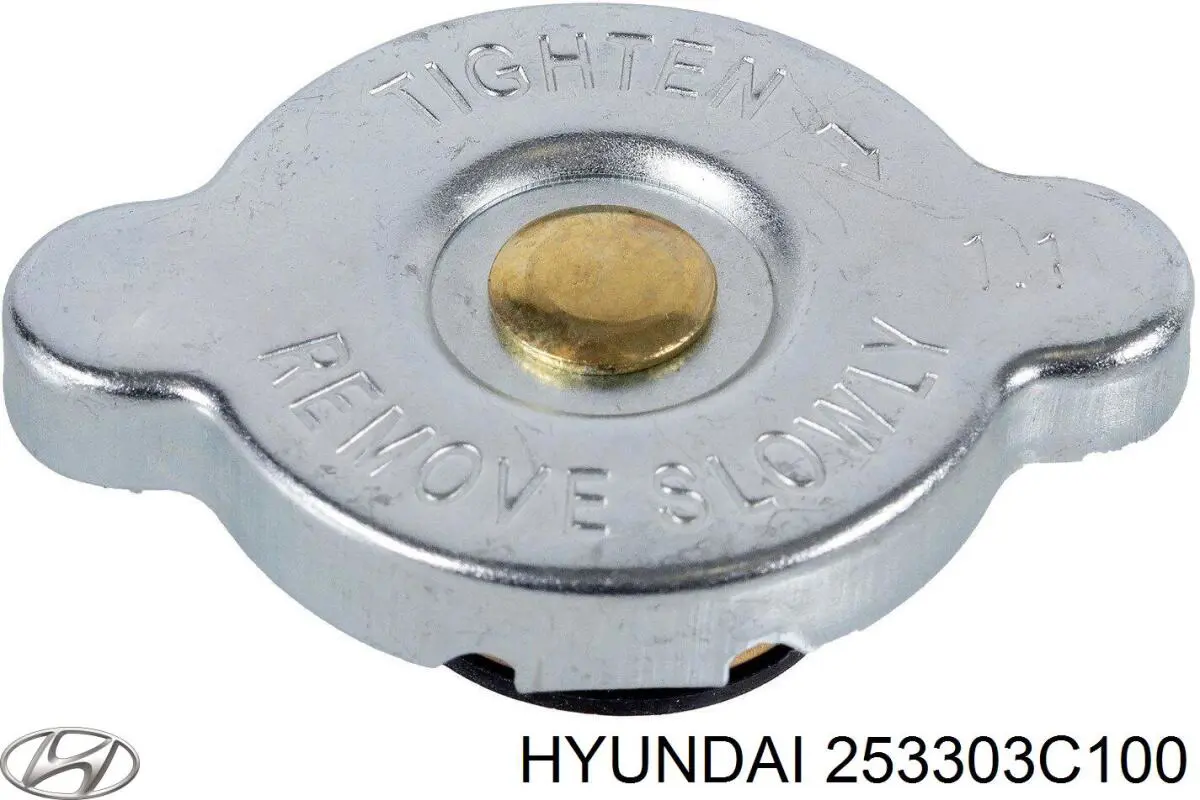 Tampa (tampão) do radiador 253303C100 Hyundai/Kia