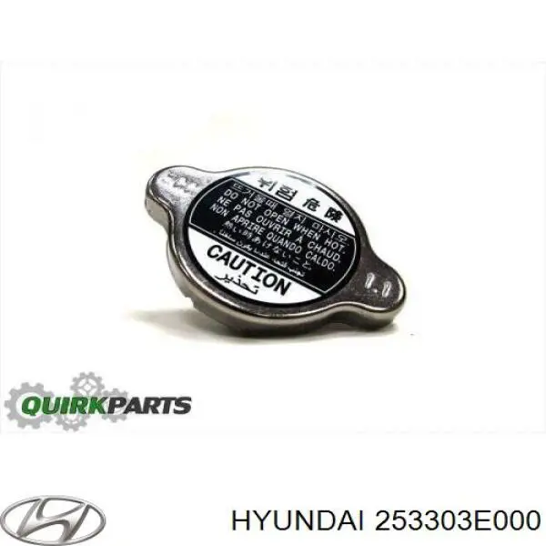 253303E000 Hyundai/Kia Tampa (tampão) do radiador