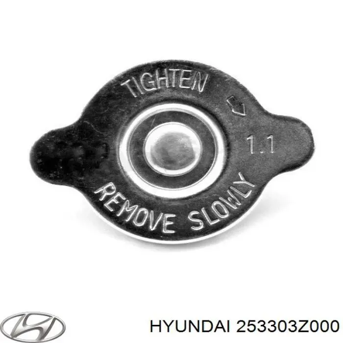 Tampa (tampão) do radiador Hyundai/Kia 253303Z000 preço, a partir de 7,34 USD