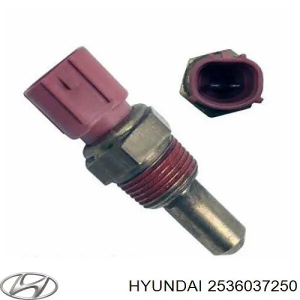2536037250 Hyundai/Kia Sensor de temperatura do fluido de esfriamento (de ativação de ventilador do radiador)