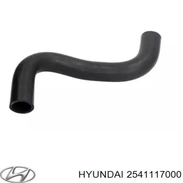2541117000 Hyundai/Kia Mangueira (cano derivado) do radiador de esfriamento superior