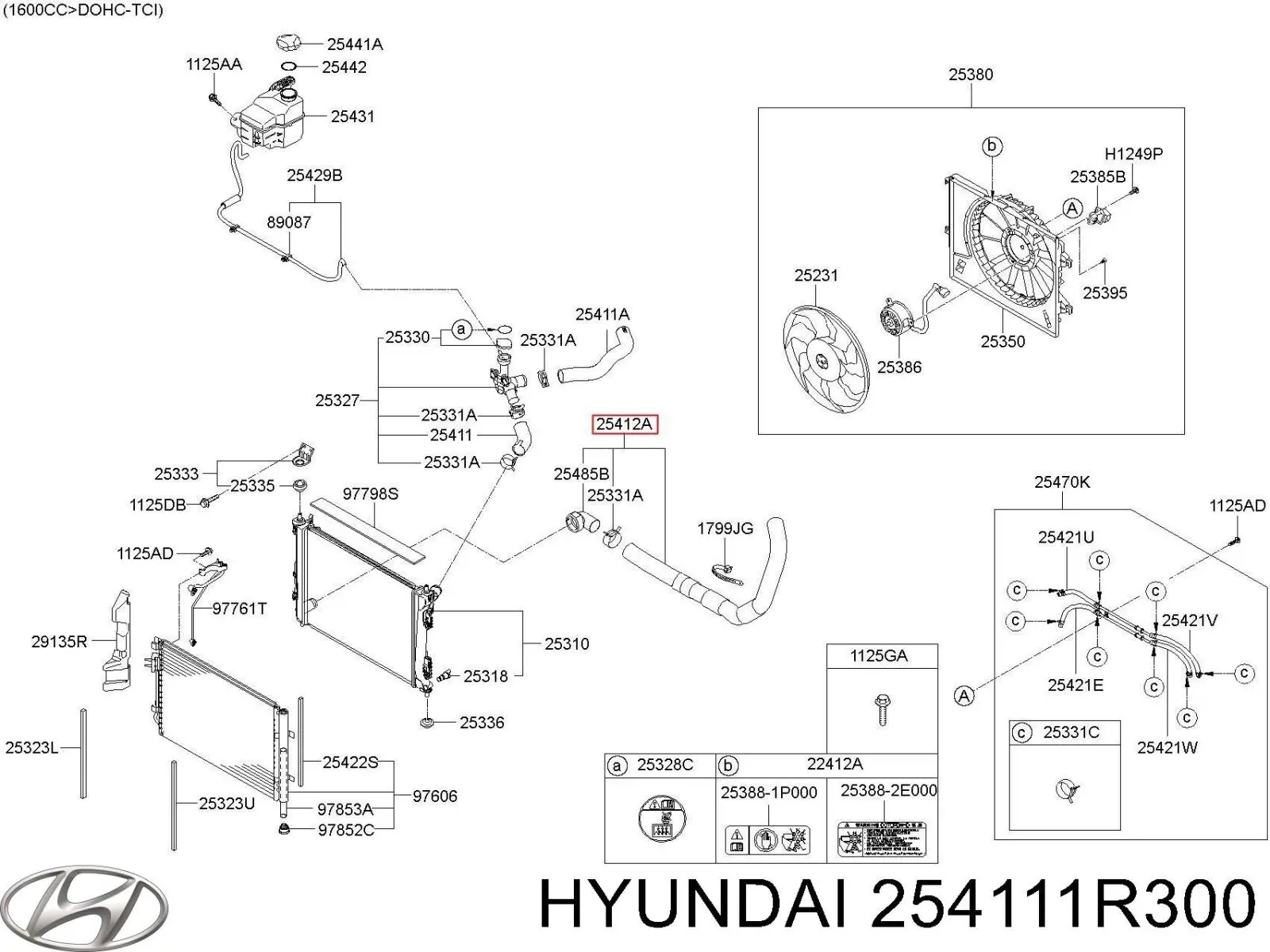 Compre 254111R300 Hyundai/Kia Mangueira (cano derivado) do radiador de esfriamento superior