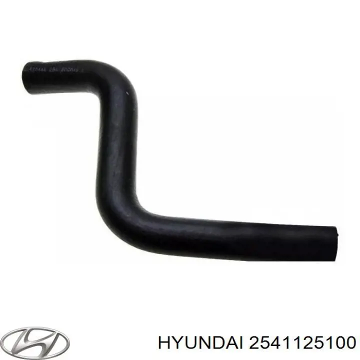 Mangueira (cano derivado) do radiador de esfriamento superior Hyundai/Kia 2541125100 preço, a partir de 9,01 USD