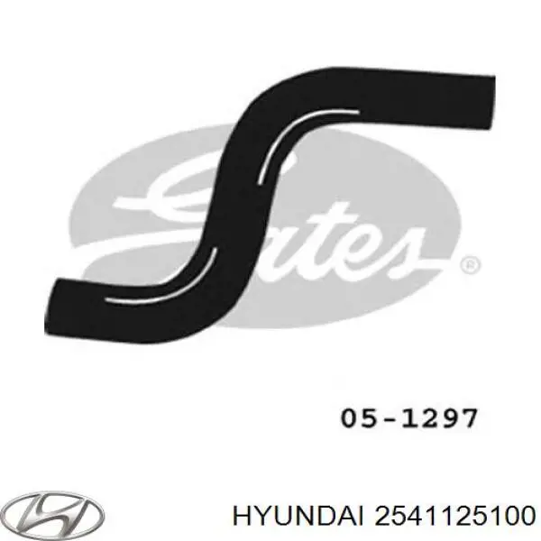 Compre 2541125100 Hyundai/Kia Mangueira (cano derivado) do radiador de esfriamento superior
