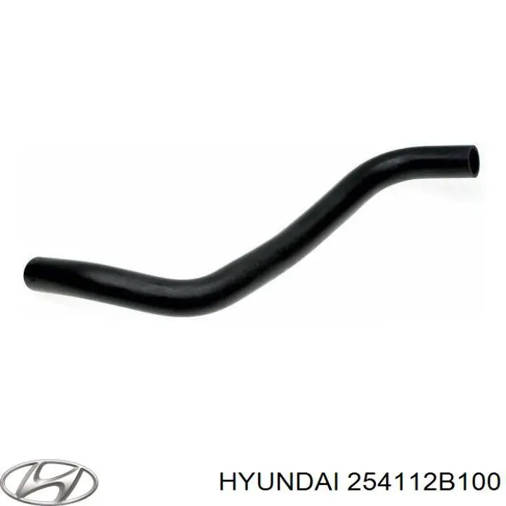 254112B100 Hyundai/Kia Mangueira (cano derivado) do radiador de esfriamento superior