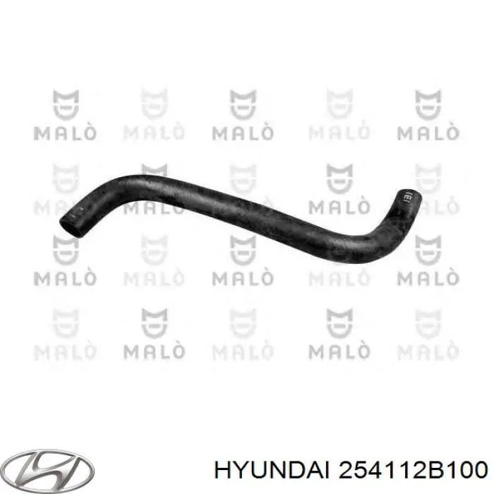 Mangueira (cano derivado) do radiador de esfriamento superior Hyundai/Kia 254112B100 preço, a partir de 23,22 USD