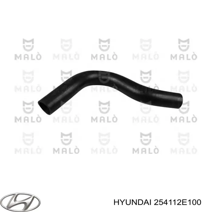 Compre 254112E100 Hyundai/Kia Mangueira (cano derivado) do radiador de esfriamento superior