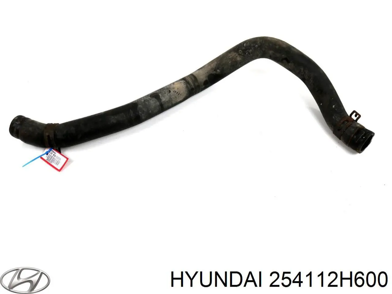 Mangueira (cano derivado) do radiador de esfriamento superior Hyundai/Kia 254112H600 preço, a partir de 53,26 USD