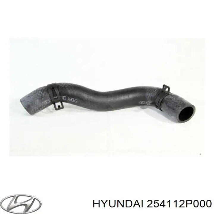 254112P000 Hyundai/Kia Mangueira (cano derivado) do radiador de esfriamento superior