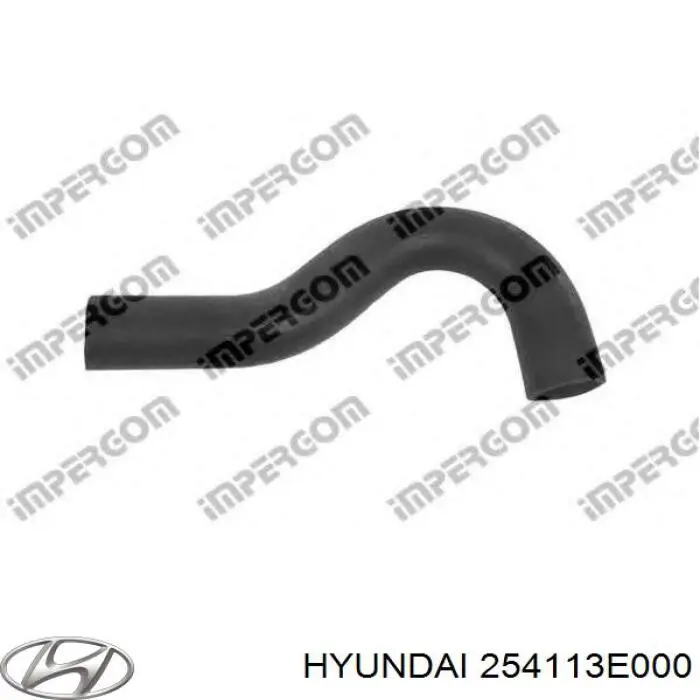 254113E000 Hyundai/Kia Mangueira (cano derivado) do radiador de esfriamento superior