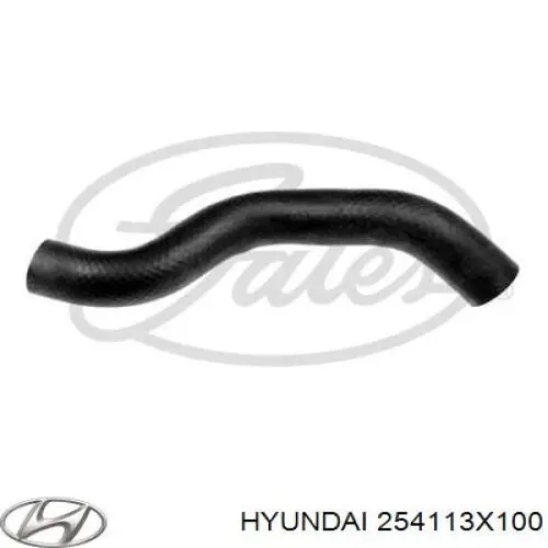 254113X100 Hyundai/Kia Mangueira (cano derivado) do radiador de esfriamento superior