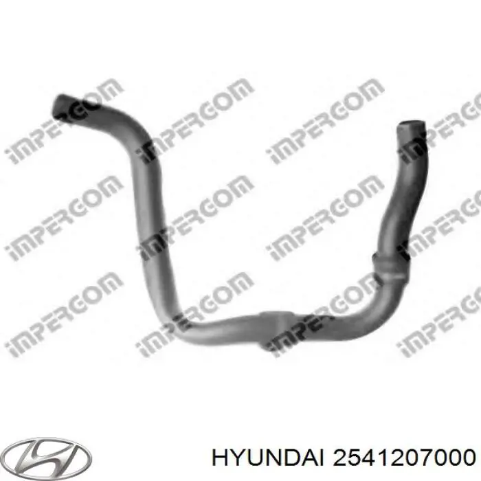 2541207000 Hyundai/Kia Mangueira (cano derivado) inferior do radiador de esfriamento