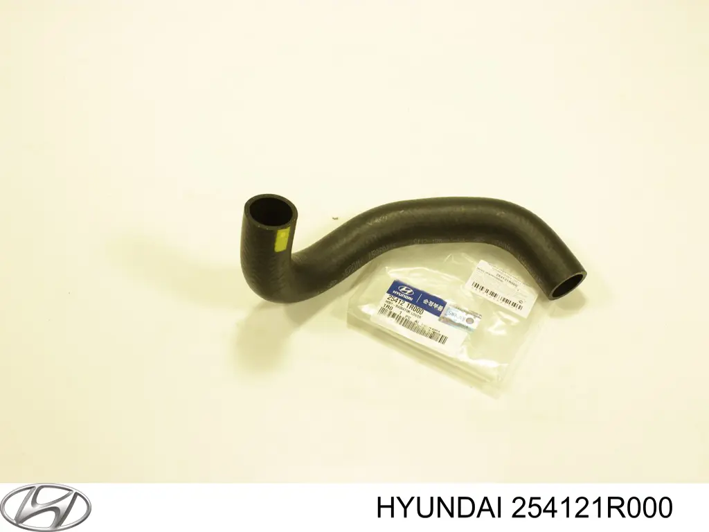 254121R000 Hyundai/Kia Mangueira (cano derivado) inferior do radiador de esfriamento