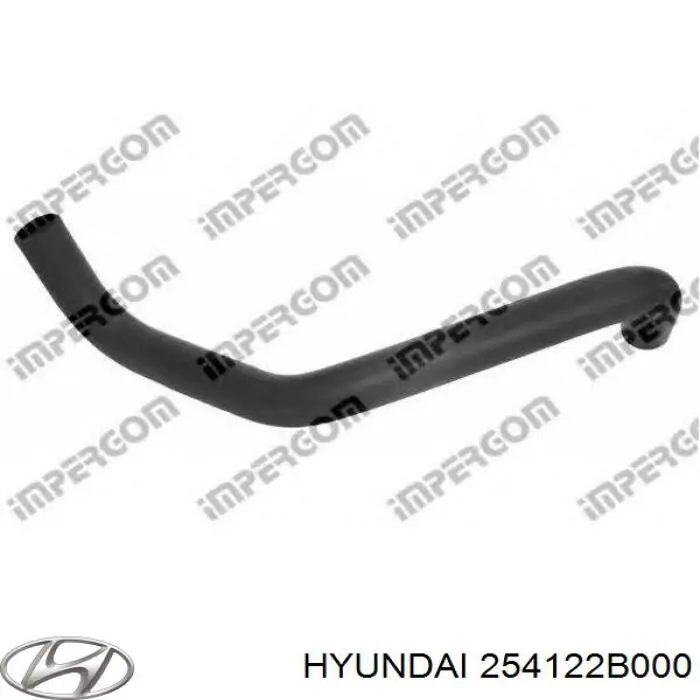 254122B000 Hyundai/Kia Mangueira (cano derivado) inferior do radiador de esfriamento