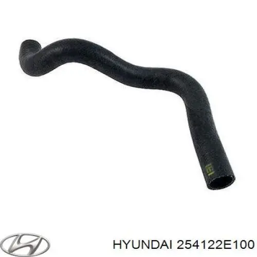 254122E100 Hyundai/Kia Mangueira (cano derivado) inferior do radiador de esfriamento
