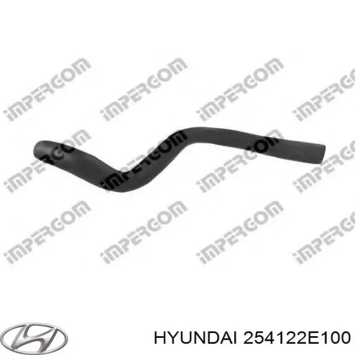 Compre 254122E100 Hyundai/Kia Mangueira (cano derivado) inferior do radiador de esfriamento