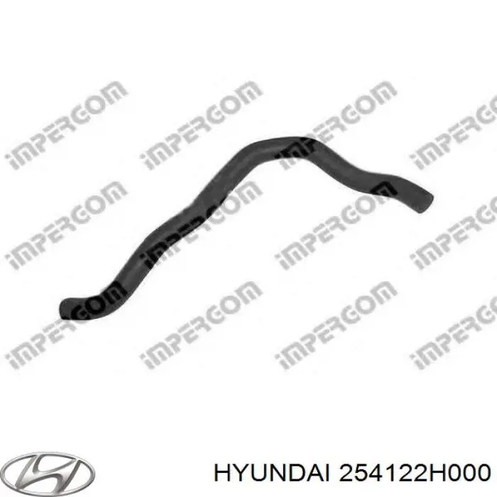 254122H000 Hyundai/Kia Mangueira (cano derivado) inferior do radiador de esfriamento