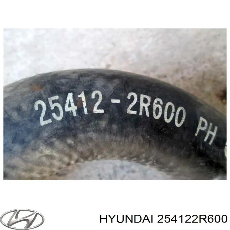 Mangueira (cano derivado) inferior do radiador de esfriamento Hyundai/Kia 254122R600 preço, a partir de 13,92 USD