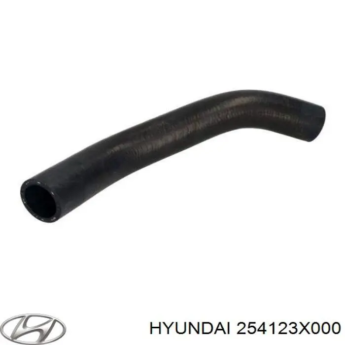 254123X000 Hyundai/Kia Mangueira (cano derivado) inferior do radiador de esfriamento