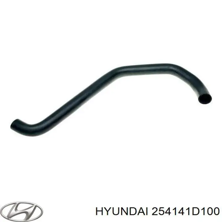 254141D100 Hyundai/Kia Mangueira (cano derivado) do radiador de esfriamento superior