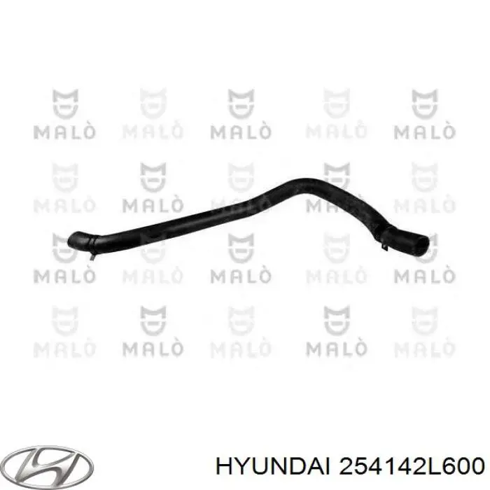 254142L600 Hyundai/Kia Mangueira (cano derivado) do radiador de esfriamento superior