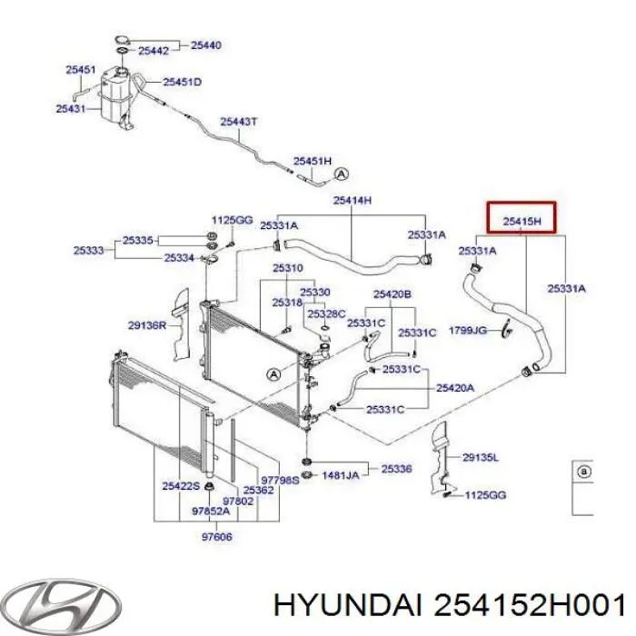 254152H001 Hyundai/Kia Mangueira (cano derivado) inferior do radiador de esfriamento