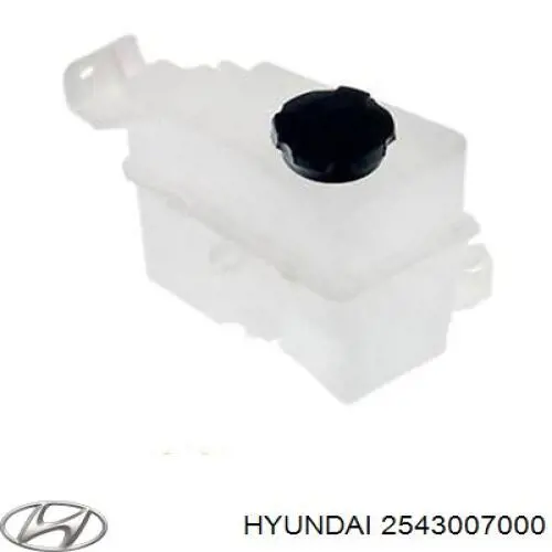 2543007000 Hyundai/Kia Tanque de expansão do sistema de esfriamento