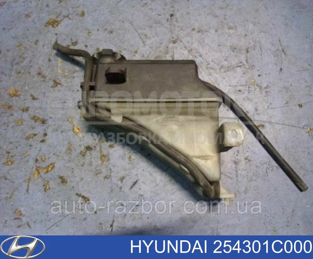 254301C000 Hyundai/Kia Tanque de expansão do sistema de esfriamento