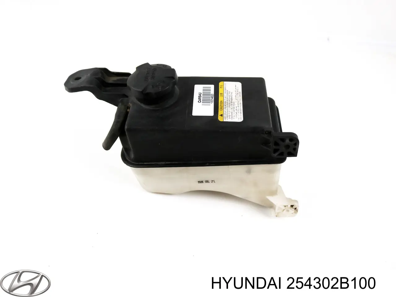 254302B100 Hyundai/Kia Tanque de expansão do sistema de esfriamento