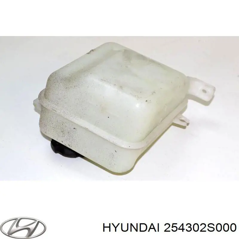 Compre 254302S000 Hyundai/Kia Tanque de expansão do sistema de esfriamento