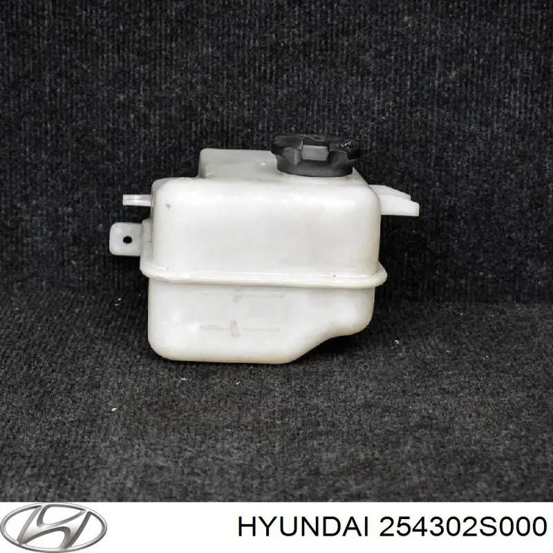 254302S000 Hyundai/Kia Tanque de expansão do sistema de esfriamento
