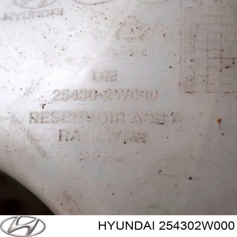 254302W000 Hyundai/Kia Tanque de expansão do sistema de esfriamento