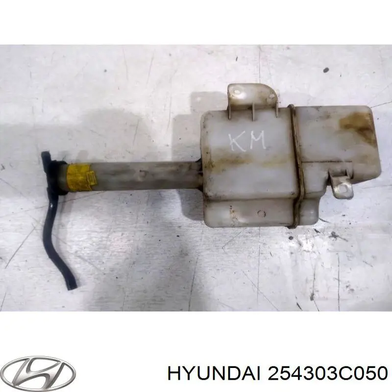 Compre 254303C050 Hyundai/Kia Tanque de expansão do sistema de esfriamento