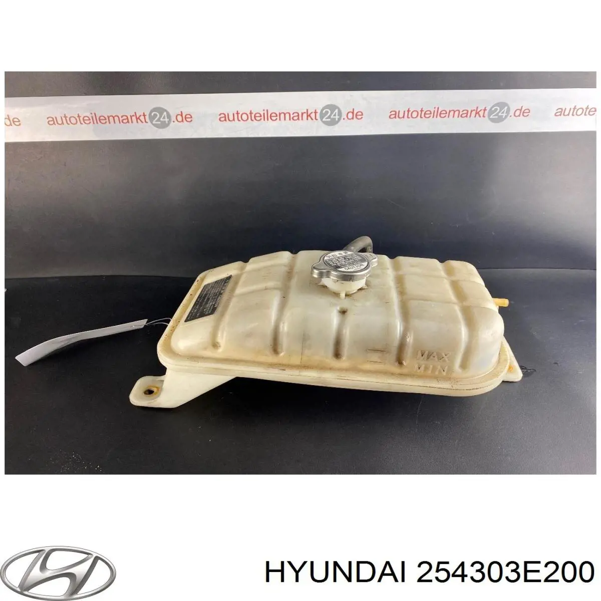 254303E200 Hyundai/Kia Tanque de expansão do sistema de esfriamento