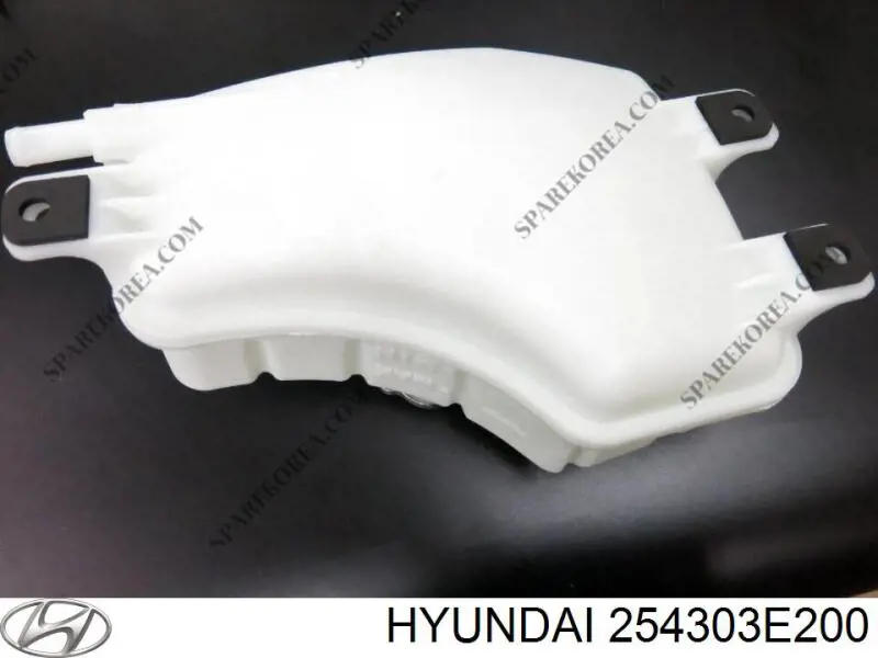Compre 254303E200 Hyundai/Kia Tanque de expansão do sistema de esfriamento